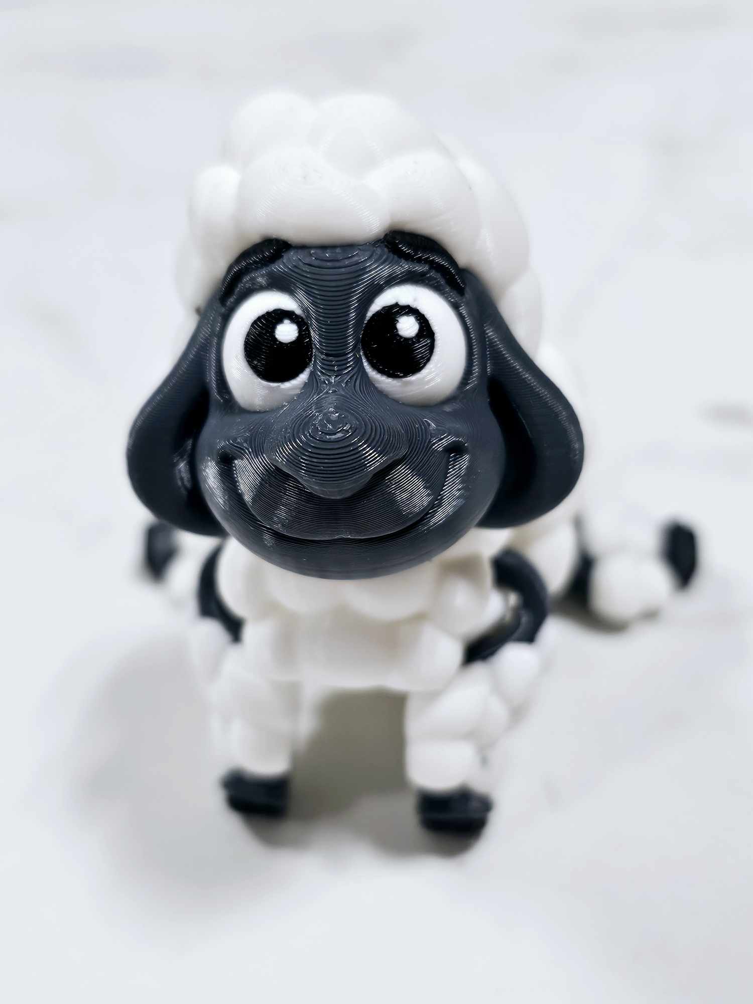 Carolyn's Classroom Critters: Sheep - Image 5