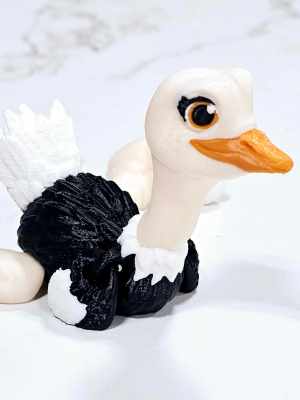 Carolyn's Classroom Critters: Ostrich