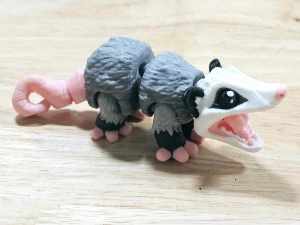 Carolyn's Classroom Critters: Possum