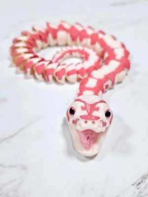 Carolyn's Classroom Critters: Snake Ball Python
