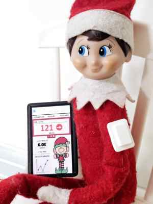 Elf Diabetes Pod - Quantity 1 (Comes with both stickers!)