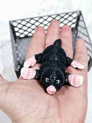 Carolyn's Classroom Critters: Mole
