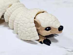 Carolyn's Classroom Critters: Armadillo