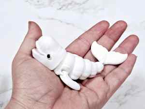 Carolyn's Classroom Critters: Beluga Whale