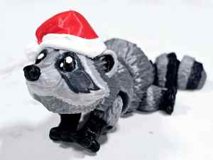 Carolyn's Classroom Critters: Raccoon *Christmas Special*
