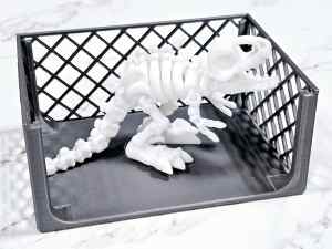 Carolyn's Classroom Critters: Dinosaur Skeleton - T-Rex