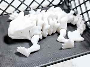 Carolyn's Classroom Critters: Dinosaur Skeleton - Euoplocephalus