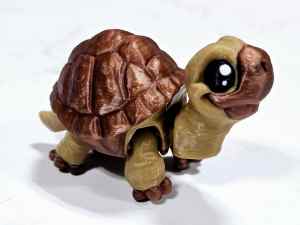 Carolyn's Classroom Critters: Tortoise (Option 2)