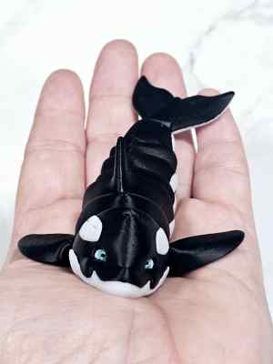 Carolyn's Classroom Critters: Killer Whale