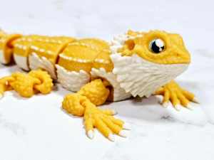 PREK PALS: Bearded Dragon (Version 2)