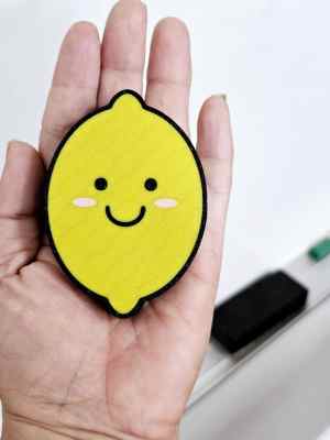 Teacher Magnets - Lemon Magnets